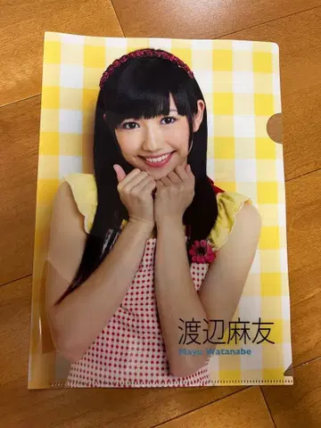 AKB48 멤버 파일 커스터마이즈 씰 달력 포스터