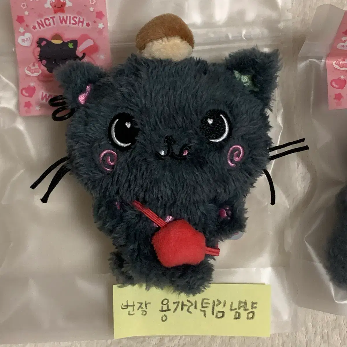 NCT WISH WISHDOLL リク kuri TT帽子付き Nct Wish Wishdoll Riku Kuri | Bunjang Global