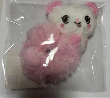 NCTWISH 사쿠야 스크런치