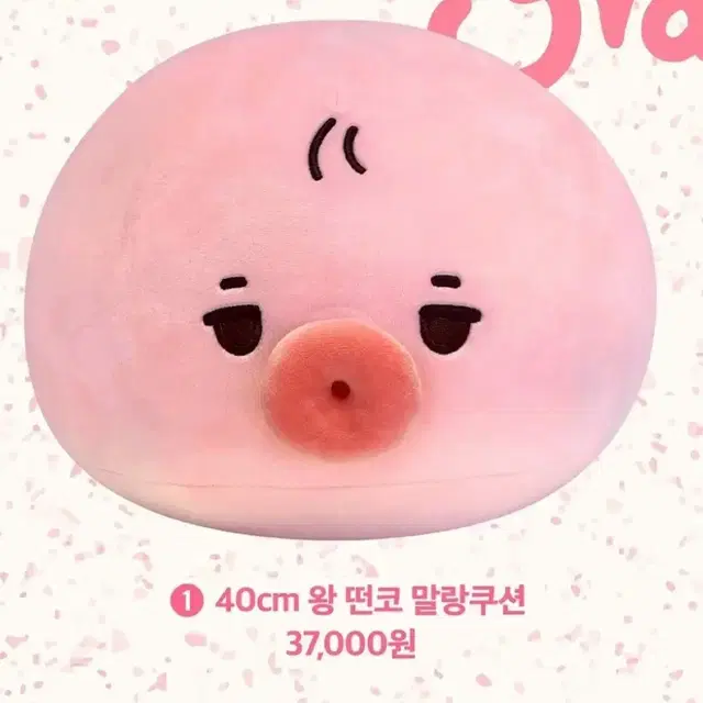 대왕 떤코 40cm 양도