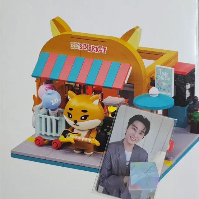 데이식스 데니멀즈 브릭세트 영케이