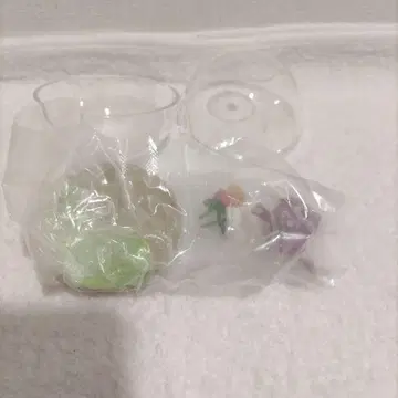 포켓몬 리멘트 테라리움 컬렉션 가라르지방편 엘레즌