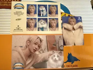 아니마젤 나오야 에이키