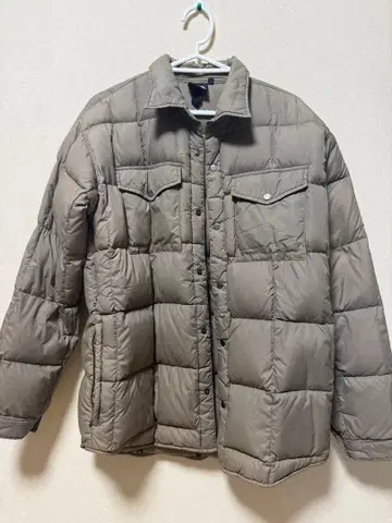 THE NORTH FACE 다운 자켓