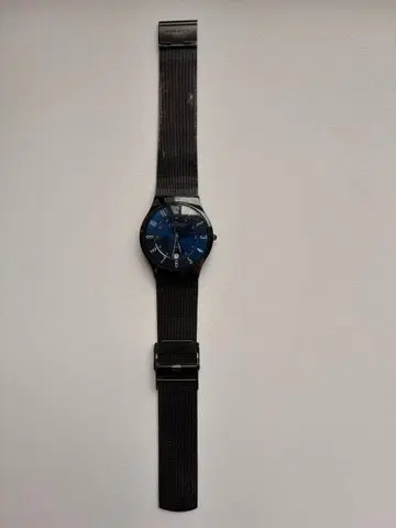 SKAGEN 손목시계 쿼츠 블랙 메쉬 벨트