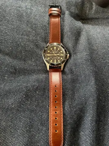 TIMEX 다이버 쿼츠