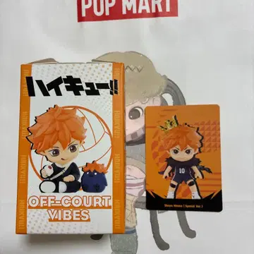 POP MART 하이큐!! 히나타 쇼요 시크릿