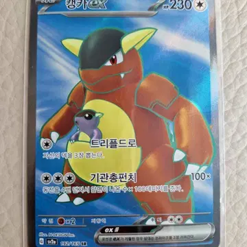 캥카EX 192/165 SR