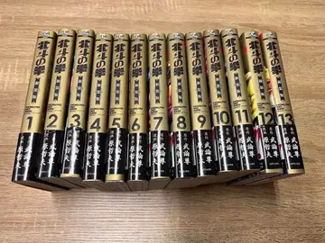 북두의 권 신장판 1~13권