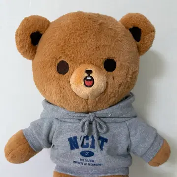 NCT Haechan 엔시티 해찬 이곰도 40cm 왕곰도 NCIT 후드 | 인형/피규어