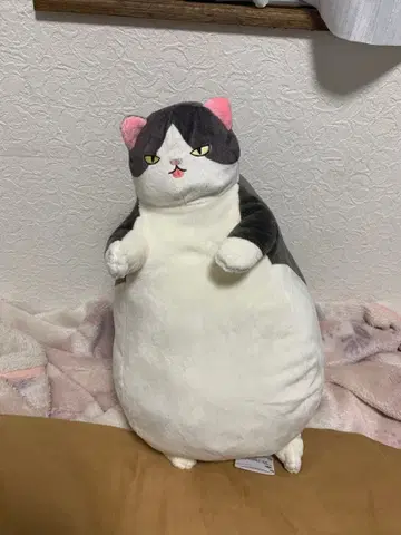 고양이 봉제 인형 못생긴 귀여운 고양이