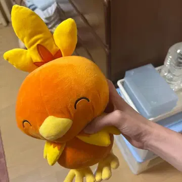 포켓몬 아차모 봉제 인형