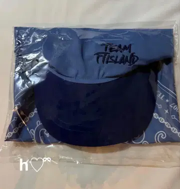 FTISLAND FaTe 반다나 볼캡