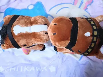 서러브레드 컬렉션 복슬복슬 BIG 봉제 인형 2개 세트