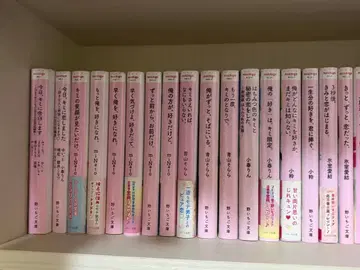 야생딸기 문고
