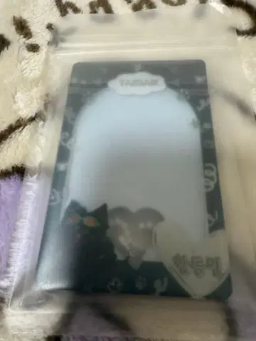 BOYNEXTDOOR 태산 트레이딩 카드 케이스