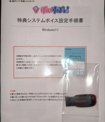 브이스포 시스템 보이스 아이자와 에마 / Aizawa Ema