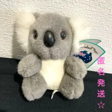 코알라 봉제 인형 호주 기념품 택 포함