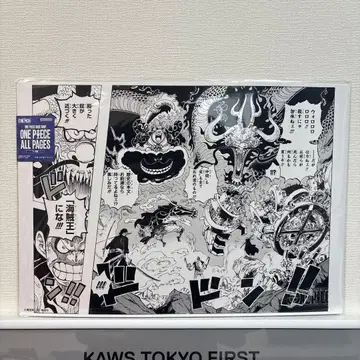 ONE PIECE ALL PAGES 베이스샵 루피 로우 키드