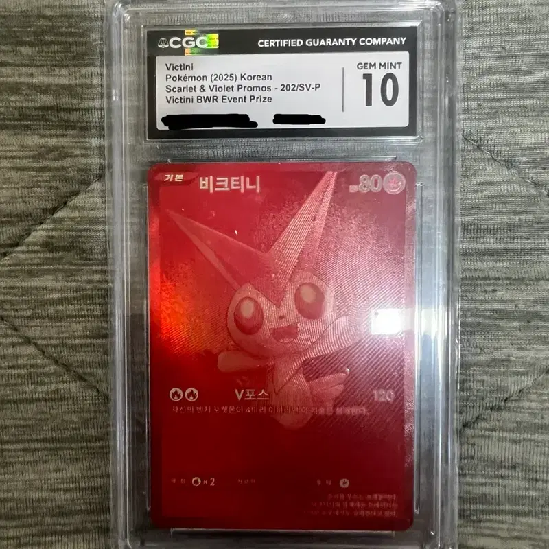 포켓몬카드 비크티니 bwr cgc10 등급 카드 한글판