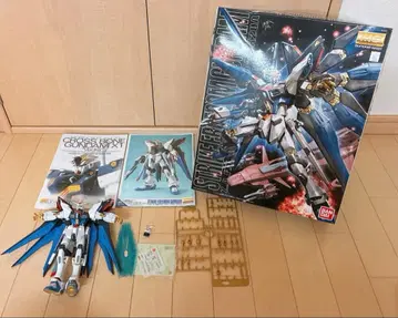 MG 1/100 스트라이크 프리덤 건담 완성품 정크