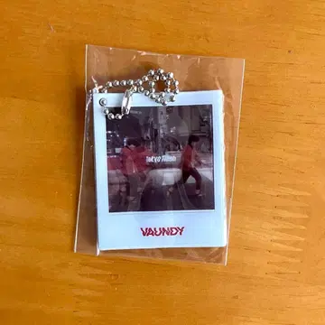 Vaundy 폴라로이드 키체인 도쿄 플래시