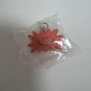 다이스케 콘도 메지루시 액세서리 타이요