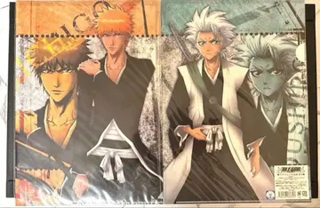 쿠로사키 이치고 히츠가야 토시로 BLEACH 클리어 파일 JF 2장 세트