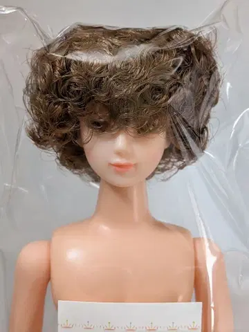 토모키 리카짱 캐슬 오타노시미 인형
