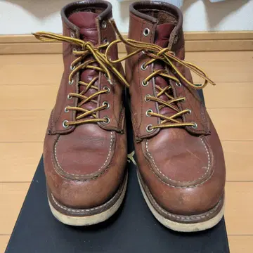 Red Wing 아이리쉬 세터