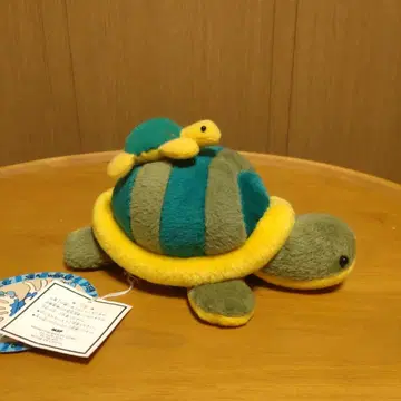 MPS 부자 거북이