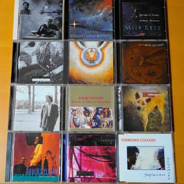 Japan, DavidSylvian, Mick Karn CD 모음