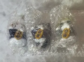 주술냥코 마네키네코 나나미, 후시구로, 쿠기사키