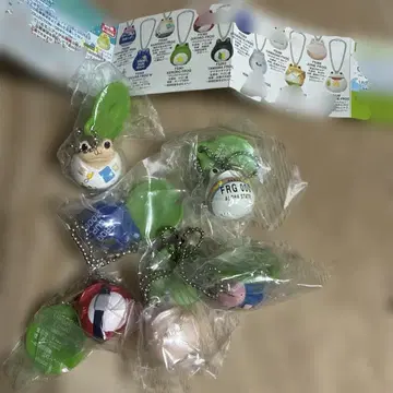 FROG STYLE 프로그스타일 컬렉션 ~'06 썸머 Ver.~