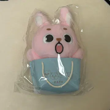 DAY6 TheDECADE 원필 PIL 봉제 인형