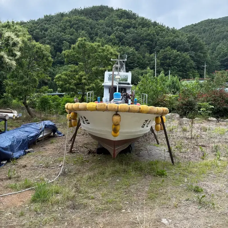 낚시보트