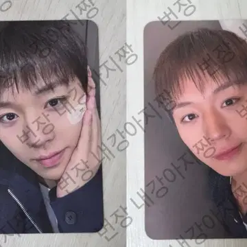 박지훈 일본 팬콘 입장포카+VIP 특전 포카 일괄 | 브랜드 중고거래