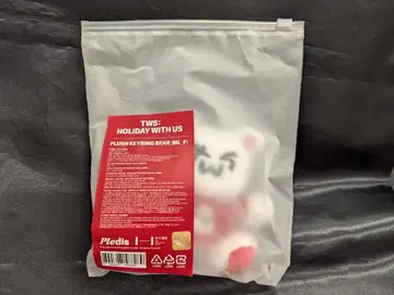 TWS 홀리데이 위드 어스 플러시 키링 베어