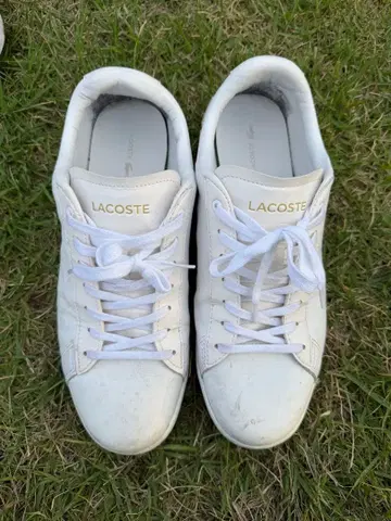 LACOSTE 스니커즈