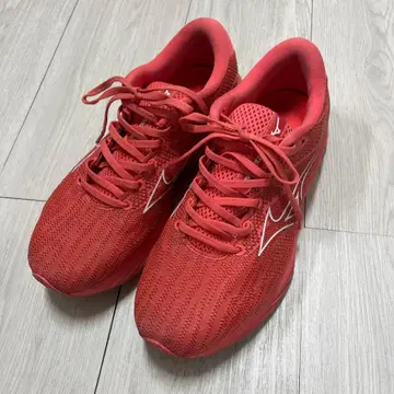 최종 가격! MIZUNO WAVERIDER27 25cm