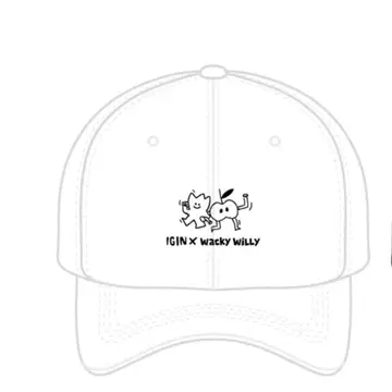 IGIN jin bts 아이긴 진 POPUP 굿즈 캡 모자