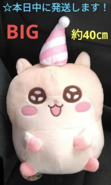 [ 라운드원 한정판 쿠소하무짱 BIG 봉제 인형 [ 코비하무 ] ]