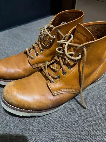 Red Wing 아이리쉬 세터