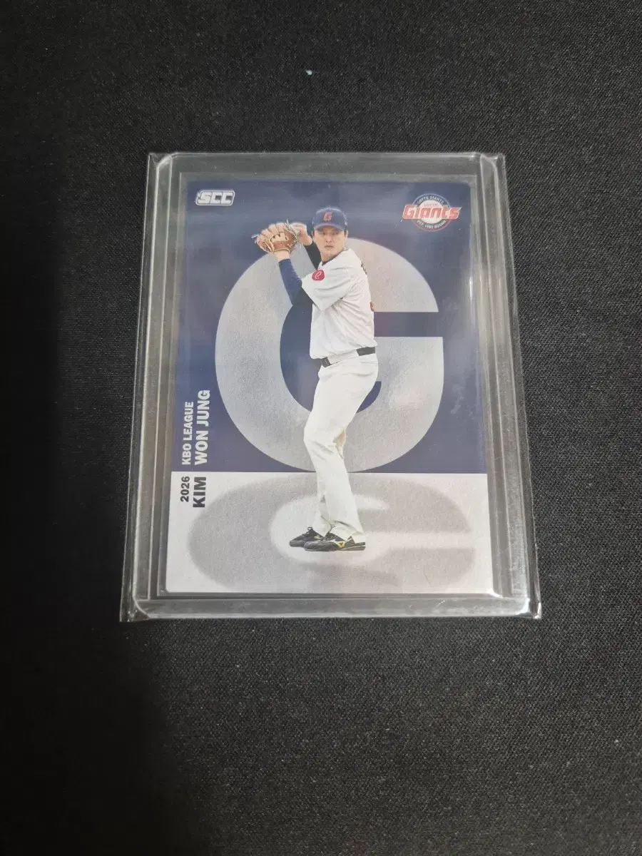 [SCC KBO] 롯데 자이언츠 김원중 알파벳