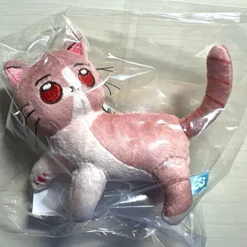 계속 한밤중이면 좋을 텐데. 봉제 인형 쇼가스토