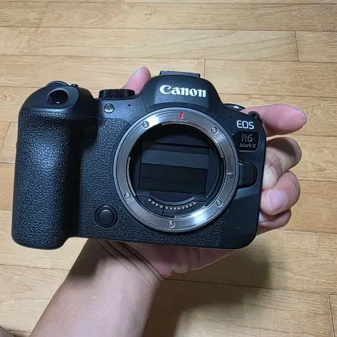 캐논 EOS R6 Mark II