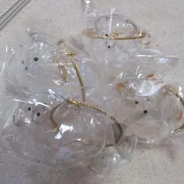 우리 집 털뭉치 강아지