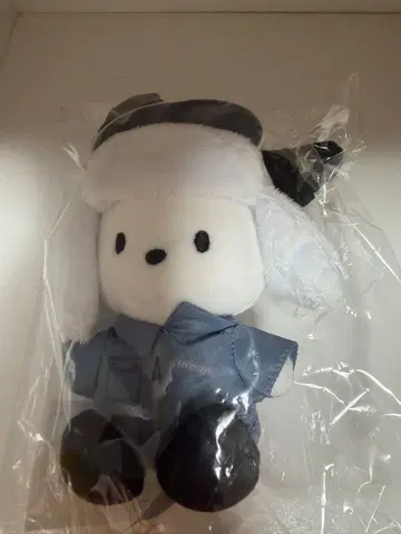 treasure 하피단바이 포차코