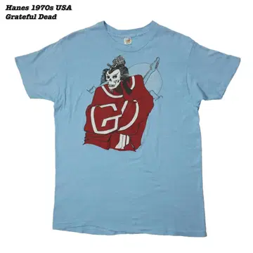 Hanes T-SHIRTS 1970s T432
