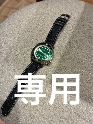 CITIZEN Eco-Drive 다이버 워치 그린